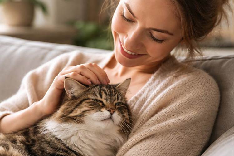 فواید گربه در خانه چیست؟